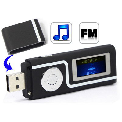 4GB MP3 Player with LCD Screen, Support FM Radio, Double 3.5 mm Earphone (Black)